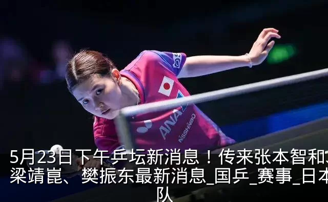 5月23日下午乒坛新消息！传来张本智和、梁靖崑、樊振东最新消息_国乒_赛事_日本队